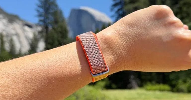 Fitbit Air